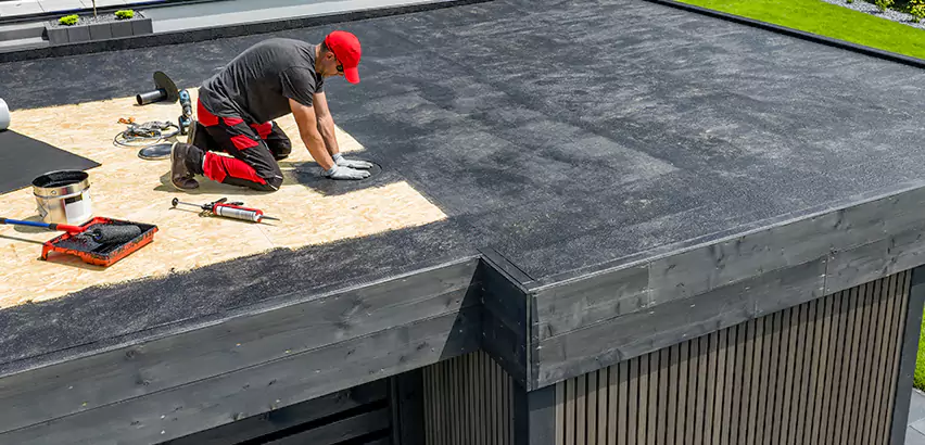 Professional TPO Roofing Services in Burbank, IL